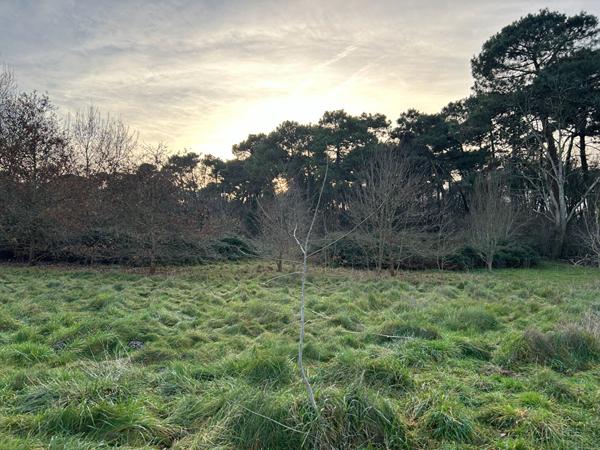 Terrain constructible de 3006 M2 - Eysines quartier le Pinsan