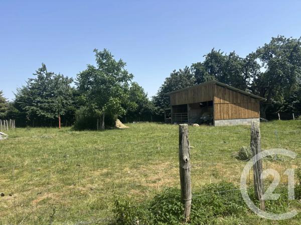 Maison à vendre  8 pièces - 238,47 m 2   TORCHAMP  - 61