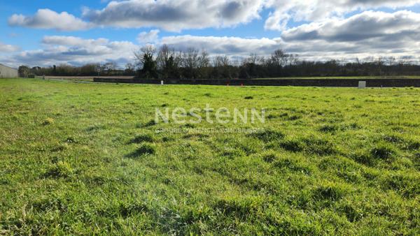 Terrain de 1197m² viabilisé et arboré à Maillé