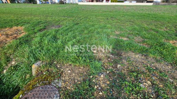 Terrain de 1197m² viabilisé et arboré à Maillé