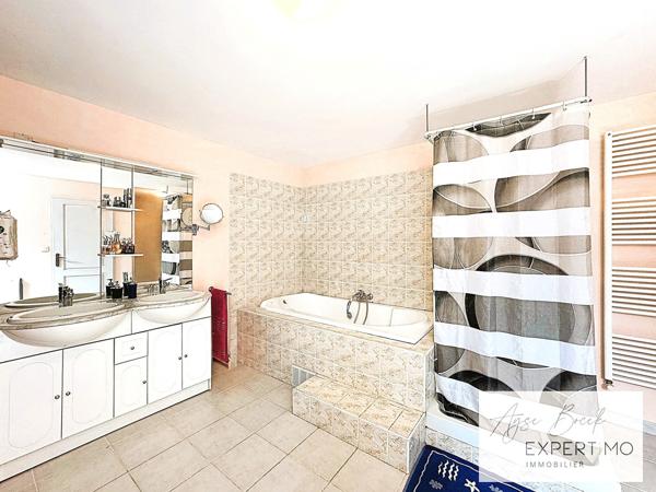 Vienne (38200) **Ensemble immobilier en plein centre-ville de Vienne : 2 maisons sur plus de 3500 m² terrain**