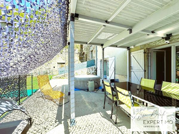 Vienne (38200) **Ensemble immobilier en plein centre-ville de Vienne : 2 maisons sur plus de 3500 m² terrain**