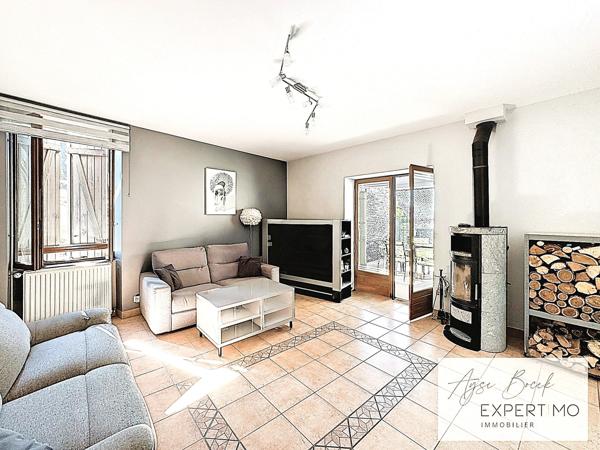 Vienne (38200) **Ensemble immobilier en plein centre-ville de Vienne : 2 maisons sur plus de 3500 m² terrain**