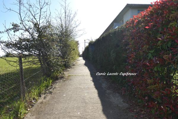 Dpt Haute Garonne (31), à louer COLOMIERS appartement T3