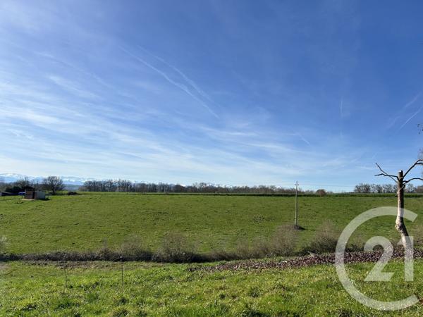 Terrain à vendre  3584 m2 LALANNE ARQUE - 32