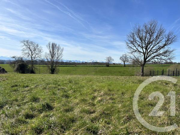 Terrain à vendre  3584 m2 LALANNE ARQUE - 32