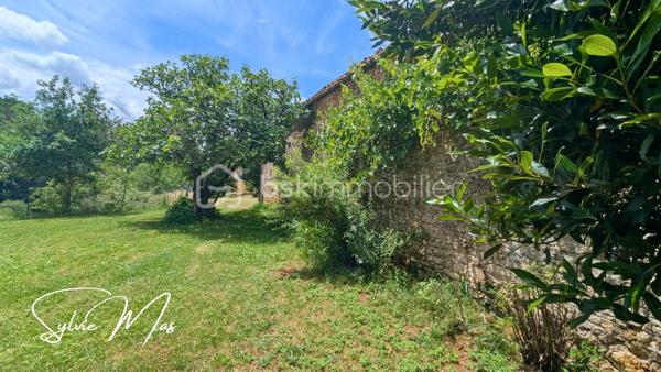 Aux portes du Périgord, un véritable havre de paix dans un hameau de campagne.
Nichée dans un environnement calme et préservé, cette charmante propriété de caractère invite à ralentir le rythme et à retrouver le plaisir des choses simples.
Dès l'arrivée, le charme opère. Une jolie cour intérieure constitue le cœur de la propriété et relie harmonieusement l'habitation, le vaste auvent et les dépendances dans une atmosphère authentique et chaleureuse.

L'habitation, d'environ 48 m² habitables, offre un cadre confortable pour une résidence principale comme pour une maison de vacances. Elle comprend une agréable pièce de vie avec cuisine ouverte, une chambre avec placard, un bureau pouvant accueillir un couchage d'appoint ainsi qu'une salle d'eau avec WC. Les menuiseries PVC double vitrage, les murs doublés et le chauffage central au fioul assurent un confort appréciable. En rez-de-jardin, une cave et la chaufferie complètent l'habitation.

Sous le superbe auvent, un ancien four à pain témoigne de l'histoire des lieux. Cet espace couvert, chargé de caractère, se prête naturellement aux repas de famille, aux soirées d'été entre amis ou à l'aménagement d'un lieu de vie convivial.

Depuis la cour, un passage mène vers le magnifique parc arboré de 5 050 m². Fruitiers, conifères majestueux et arbres matures composent un écrin de verdure exceptionnel où chaque saison offre un spectacle différent. Un cadre rare qui procure une véritable sensation d'espace et de sérénité.
La propriété dispose également d'une belle grange en pierre aux volumes généreux et au cachet préservé elle ouvre la voie à de nombreux projets : atelier d'artiste, gîte, extension de l'habitation, ou activité professionnelle.

Une importante réserve d'eau enterrée complète utilement cet ensemble plein de potentiel.

Authentique, paisible et pleine de possibilités, cette propriété séduira les amoureux de nature, de patrimoine et de lieux chargés d'histoire. Un refuge de campagne où l'on vient chercher la tranquillité... et où l'on se projette immédiatement !