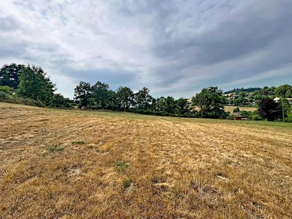 Rare ! Terrain constructible 5 815 m² divisible