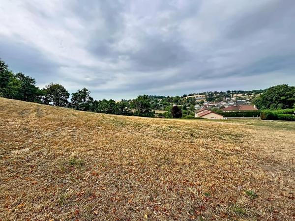 Rare ! Terrain constructible 5 815 m² divisible