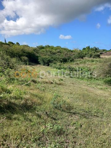 Vente
                Terrain1966 m² - SAINTE ANNE (97180)