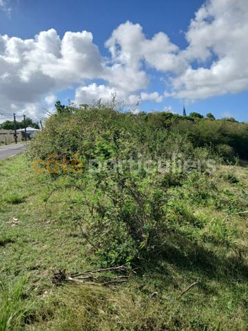 Vente
                Terrain1966 m² - SAINTE ANNE (97180)