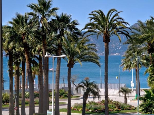 Vente Maison bourgeoise Cannes 7 Pièces 340 m²