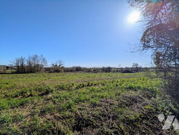 Terrain constructible sur lotissement