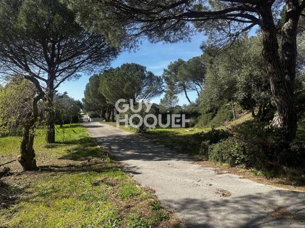 MAISON À VENDRE DE 8 PIÈCES DE 318,00 M²