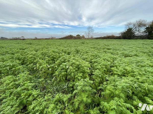 A VENDRE MAISON - 22470 PLOUEZEC