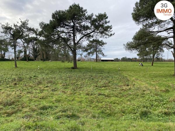Vente / Terrain constructible à Grand-Champ (56390)