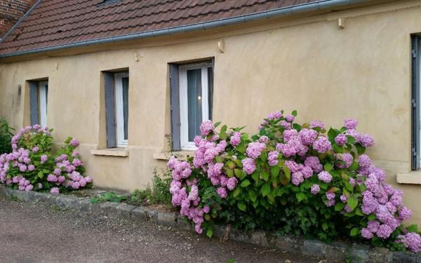 Maison à louer