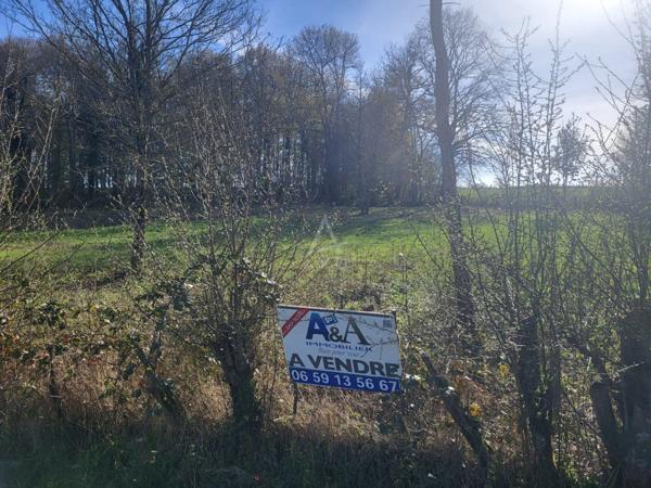 TERRAIN CONSTRUCTIBLE de 3.874 m² - SECTEUR MONTMORT/MAREUIL EN BRIE - 17 kms au Sud-Ouest d'EPERNAY - 18 kms de VERTUS -