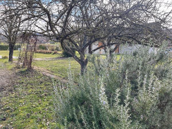 Terrain Chilly 599 m2