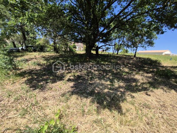 Terrain constructible de 1350 M2.

Belle parcelle plate constructible de 1000 m2 environ, avec en supplément, 350 m2 de jardin en terrasse.

Situé à 5 minutes du centre d'Aubenas, il est également proche des commerces, écoles et hôpitaux. 

Ce terrain se situe en fin de lotissement dans une impasse. Le lotissement est prévu pour 3 maisons. Les 2 premiers lots étant vendus, dont un déjà construit). 
On y accède par un chemin en copropriété.

La parcelle est déjà équipée de tous les réseaux : eau potable,  eaux usées (= égouts), électricité et téléphone. Elle possède un permis de construire en cours de  validité. Ce permis sera modifiable par le futur acquéreur.

La parcelle est orientée sud /sud-ouest.
Le terrain plat sur 1000 m2 sera vous séduire pour sa tranquillité et sa belle exposition. (Piscinable bien sûr)

Quelques arbres ajoutent du charme à l'environnement. 
La partie cévenole de 350 m2 descends jusqu'à un ruisseau accessible.

Ce terrain possède des atouts indéniables.
Il est idéal pour un projet  familial ou pour construire en vue de la retraite ou de se rapprocher d' Aubenas.
N'hésitez pas à venir le visiter.