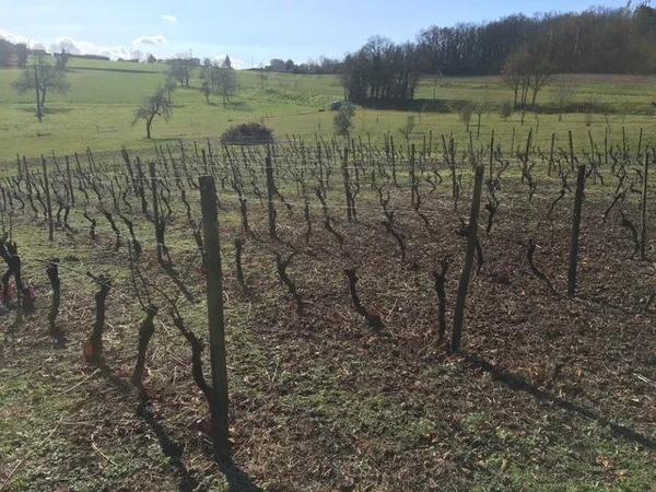Superbe propriété de campagne au calme, 142 m², 17964 m² de terrain, 4 grandes dépendances