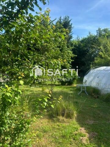 Maison de 113 m² sur un magnifique terrain arboré