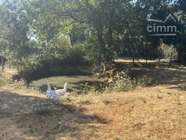 Située dans un village sur le jolie secteur à 6 minutes NORT SUR ERDRE.