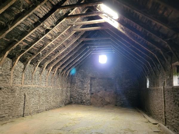 Bâtiment agricole et hangar Allanche (15160)