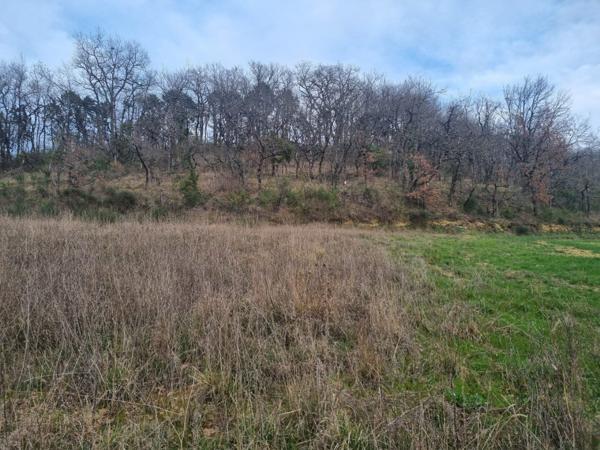 Terrain constructible proche Auch vue Pyrénées Auch