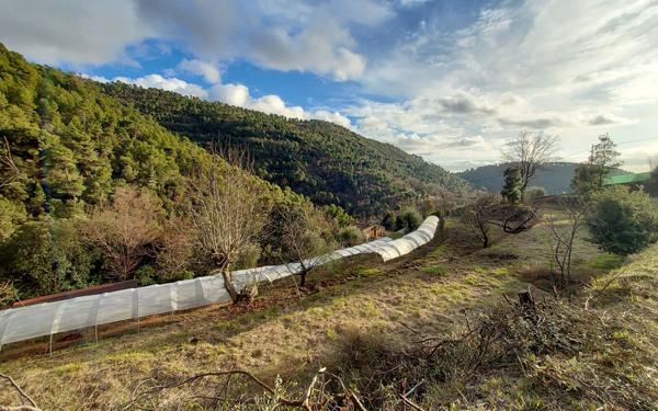 Maison à vendre    5 pièces • 124,12 m2 L'Escarène