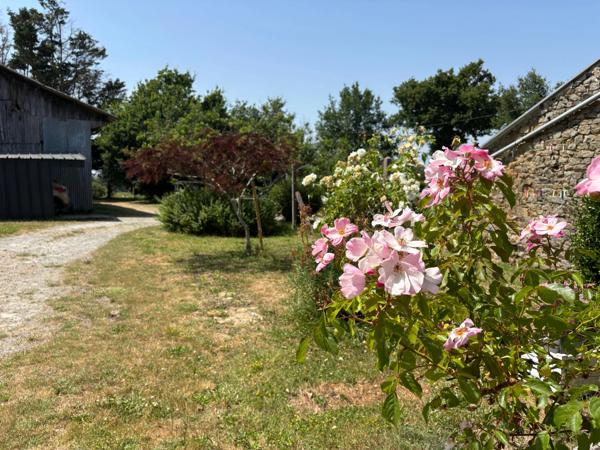 Maison en pierre lumineuse, 3 chambres + dépendance aménagée - garage – Secteur Bains-sur-Oust, à proximité de l’Île-aux-Pies