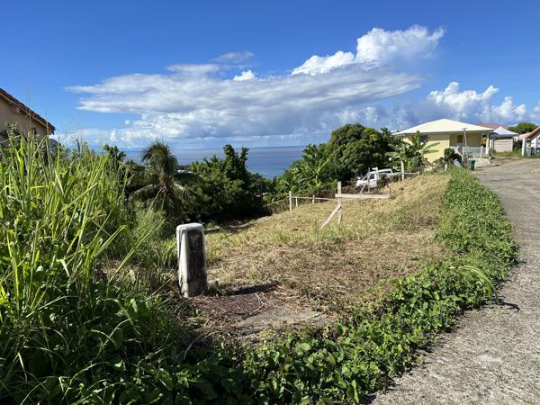 Terrain constructible à vendre dans le marigot (97216)