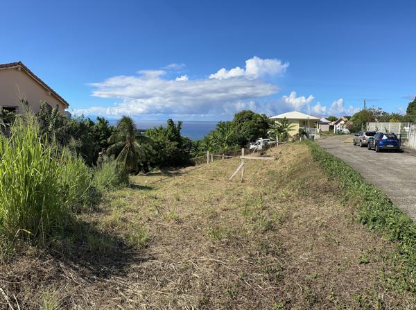 Terrain constructible à vendre dans le marigot (97216)