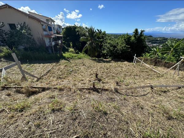 Terrain constructible à vendre dans le marigot (97216)