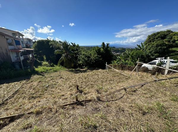 Terrain constructible à vendre dans le marigot (97216)
