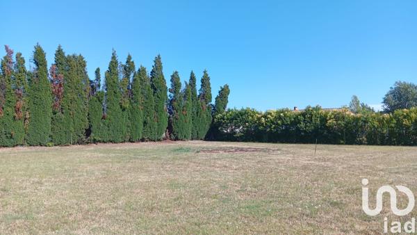 Terrain à vendre 1 020 m² Labastide-d'Anjou