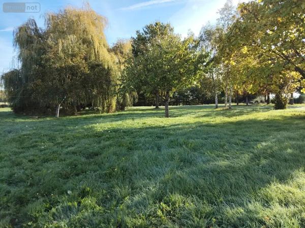 Achat - Maison Teillé 72290 4 pièces 113 m 2 7349 m 2