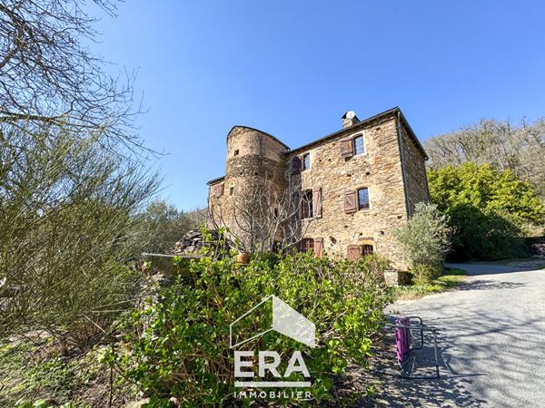 Château au coeur de la Vallée du Tarn