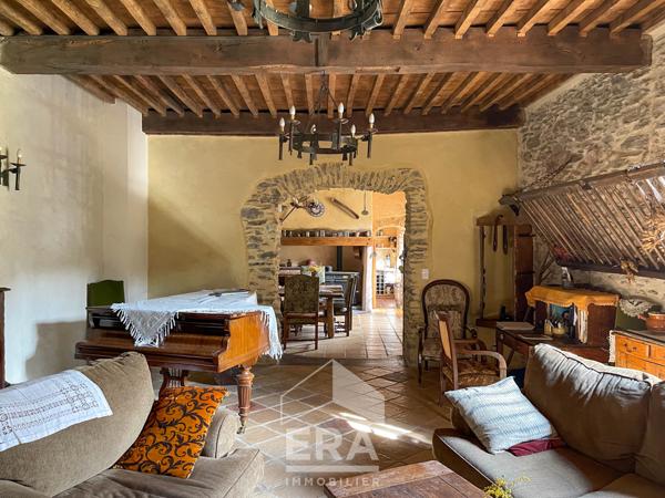 Château au coeur de la Vallée du Tarn