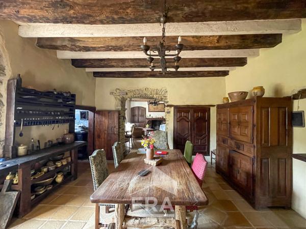 Château au coeur de la Vallée du Tarn