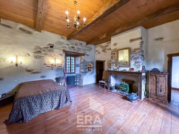 Château au coeur de la Vallée du Tarn