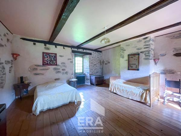 Château au coeur de la Vallée du Tarn