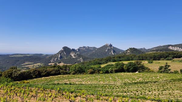 Caromb (84330) Propriété entre Ventoux et Dentelles de Montmirail