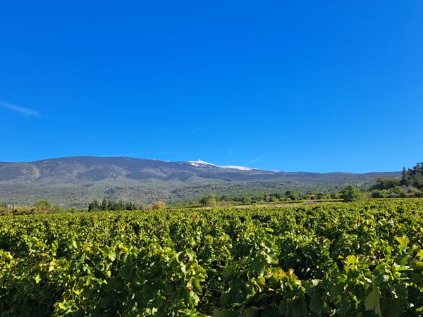 Caromb (84330) Propriété entre Ventoux et Dentelles de Montmirail
