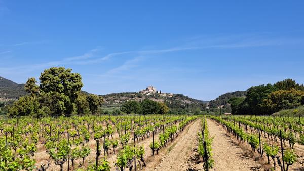 Caromb (84330) Propriété entre Ventoux et Dentelles de Montmirail