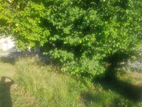 La Balme (73170) SETEUR LA BALME MAISON MITOYENNE AVEC COURETTE