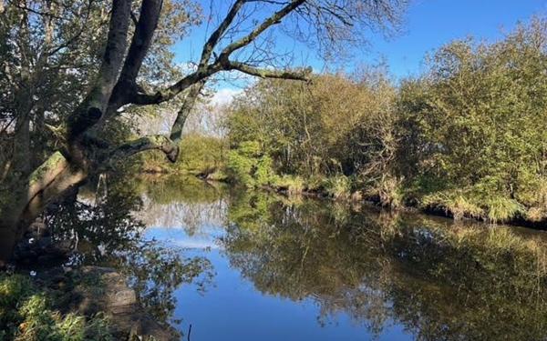 Maison à vendre    3 pièces • 105 m2 Saint-Joachim