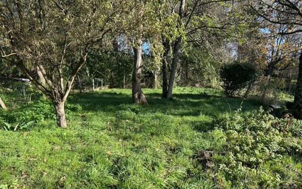 Maison à vendre    3 pièces • 105 m2 Saint-Joachim