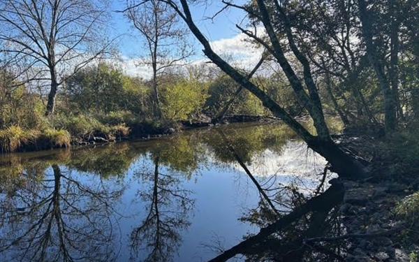 Maison à vendre    3 pièces • 105 m2 Saint-Joachim