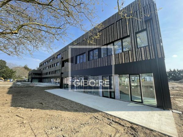 NYMPHE : Bureaux - A VENDRE - ANGERS (réf : 49.017445)